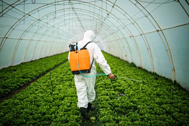 Best Best Pest Control Companies  in Fairview, NJ