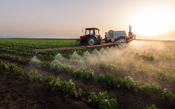 Best Commercial Pest Control Services  in Fairview, NJ